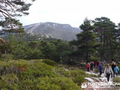 Ruta por el valle de Fuenfría, Siete Picos; ruta a pie por madrid